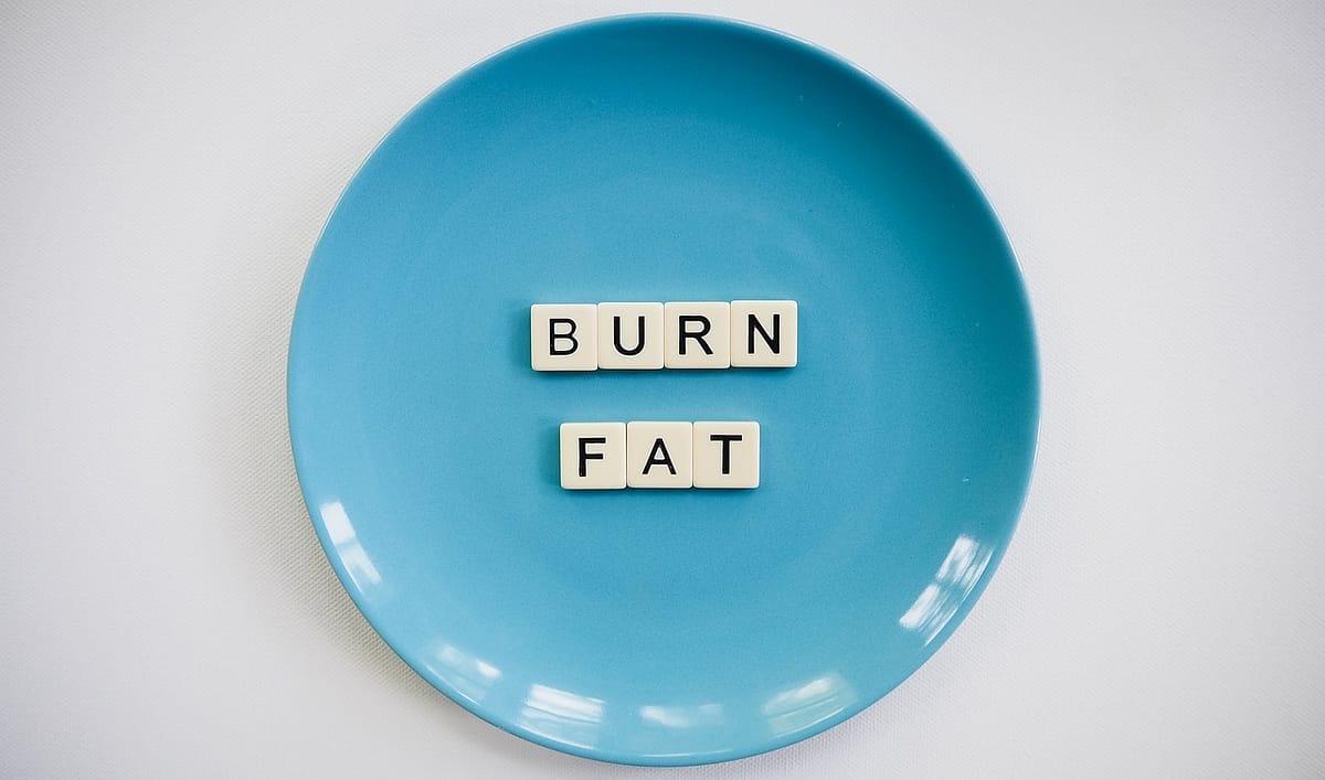 What are the best Fat Burning Foods? Quick Facts